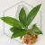 20260221_162800.webp