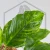 20260221_162826.webp