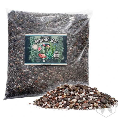Botanic Soil Succulent.webp