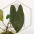 20260330_124738.webp