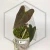 20260330_124848.webp