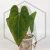 20260330_124958.webp