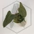 20260330_135028.webp