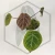 20260331_113638.webp