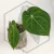 20260331_113747.webp