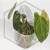 20260331_113924.webp