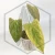 20260331_113943.webp