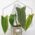 20260331_113955.webp
