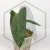 20260331_114008.webp