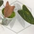 20260331_114044.webp