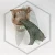 20260331_114452.webp