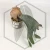 20260331_114539.webp