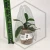 20260331_114746.webp