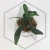 20260331_114748.webp