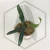 20260331_114827.webp