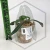 20260331_114854.webp