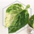 20260331_120701.webp