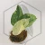 20260331_120707.webp