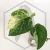 20260331_120711.webp