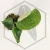 20260331_120731.webp