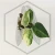 20260331_120736.webp