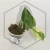 20260331_120759.webp