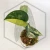 20260331_121424.webp