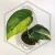 20260331_121436.webp