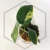 20260331_121500.webp