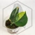 20260331_121512.webp