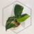 20260331_121524.webp