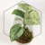 20260331_122404.webp