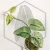 20260331_122418.webp