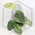 20260331_122456.webp