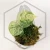 20260331_122510.webp