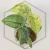20260331_122648.webp