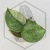 20260331_122711.webp