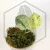 20260331_122721.webp