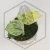 20260331_122741.webp