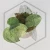 20260331_122807.webp