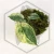 20260331_122829.webp