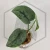 20260331_133946.webp