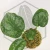 20260331_123512.webp