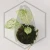 20260331_123530.webp