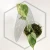20260331_123536.webp