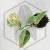 20260331_123556.webp