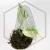 20260331_123604.webp