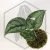 20260331_123639.webp