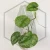 20260331_123652.webp