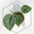 20260331_123706.webp